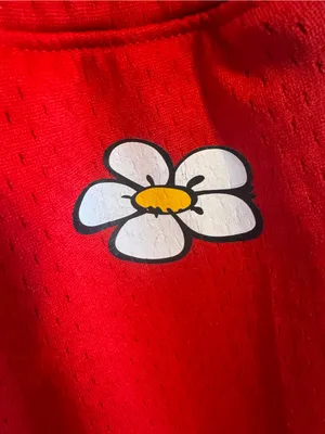 The Smurfs Smurfette Red Mesh Athletic Shorts Size L Cartoon‎ thumbnail 6