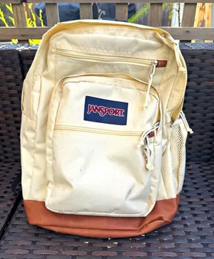JanSport Beige/Brown Solid Backpack Zip Closure Outer & Bottle Pockets thumbnail 1