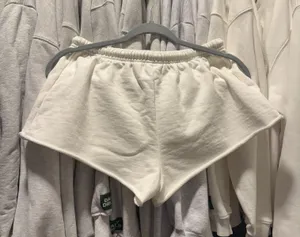 Aritzia Shorts thumbnail 2