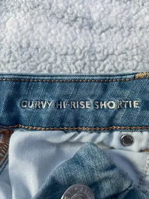 American Eagle Curvy High Rose Shortie thumbnail 5
