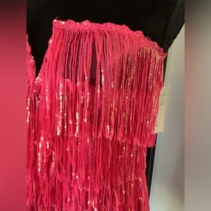Dressy sequined fringe top NWT 💖💖💖 thumbnail 2