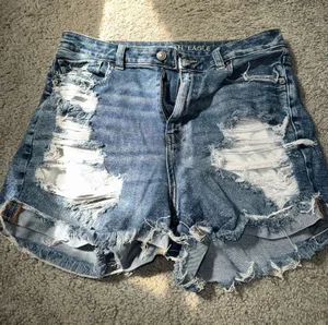 American Eagle Outfitters Shorts thumbnail 1