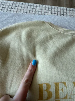 Aerie sweatshirt  thumbnail 4