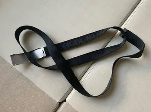 Aritzia Golden TNA Belt thumbnail 9