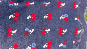 Basic Editions Cherry Printed Skort For Girls thumbnail 4