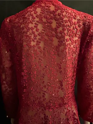 Embroidered Red Lace Fit-and-Flare Women's Dress MD thumbnail 13