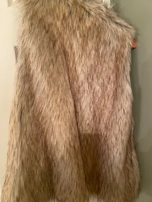 Zara Faux Fur Vest thumbnail 2