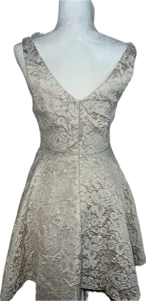 Coya Collection Cream & Gold Metallic Brocade Coquette Mini Dress thumbnail 2