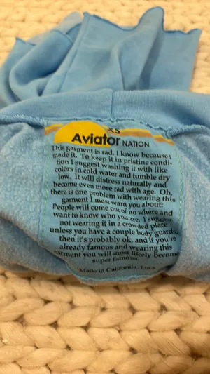 Aviator Nation Hoodie thumbnail 3