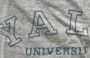 Yale University Crop Tee Medium Large Gray thumbnail 4