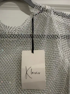 Klesis Silver Sheer Mesh Long-Sleeve Top thumbnail 2