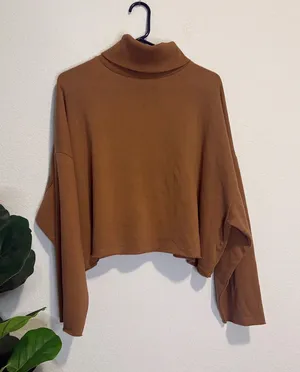 American Eagle Outfitters Cropped Brown Turtleneck Sweatshirt thumbnail 1