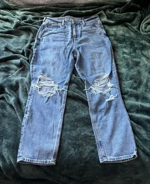 American Eagle Size 10 Mom Jeans thumbnail 1
