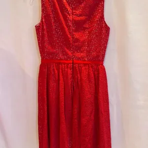 Erin Fetherstone‎ NWT Red Lace Dress with zipper back Women Size 2 thumbnail 2