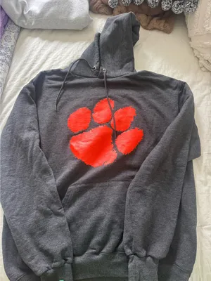 Clemson Champion Tigers Hoodie thumbnail 1