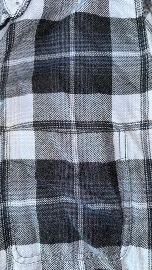 American Eagle Boyfriend Fit Flannel thumbnail 4
