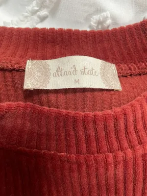 Altar'd State Velour Crop Top thumbnail 3