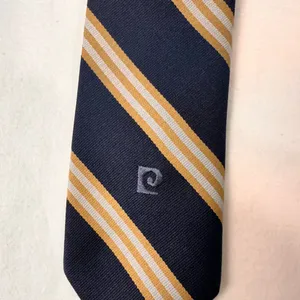 Pierre Cardin Tie Vintage Striped Necktie Blue Multicolor Classic Cravat thumbnail 4
