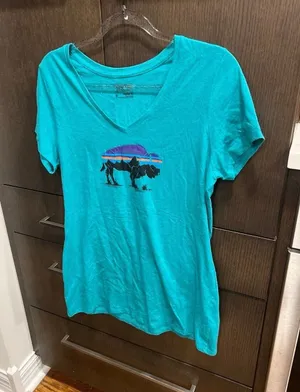 Patagonia Women's Fitz Roy‎ Bison Cotton/Poly V-Neck T-Shirt teal blue women M thumbnail 1