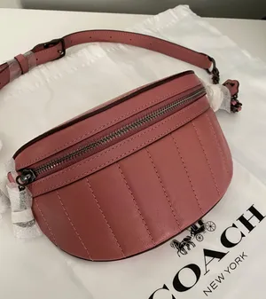 Coach Chain Belt Bag With Quilting thumbnail 1