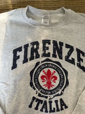 Gildan Gray Firenze Italia Crewneck Sweatshirt thumbnail 2