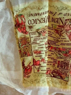 New Mexico Land of Enchantment Apron Sz S/M thumbnail 1