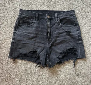 American Eagle Outfitters Shorts thumbnail 1
