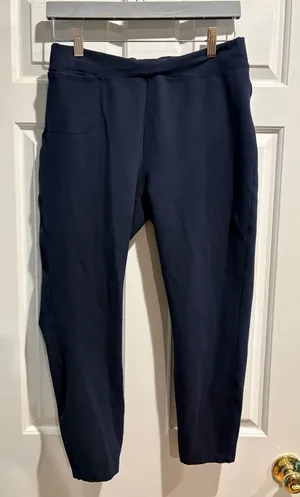 Quince navy blue performance ponte knit ankle pants sz L thumbnail 1
