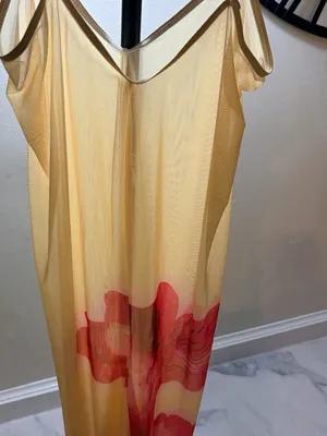 Sheer Cream Slip Dress with Red Hem Accent thumbnail 2