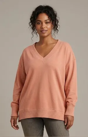 AERIE Relaxed Boyfriend Distressed V-Neck Sweatshirt Burnt Coral Size S thumbnail 1