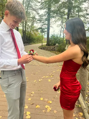 Princess Polly Red Dress thumbnail 2