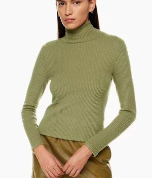 Aritzia The Group by Babaton Traverse Turtleneck thumbnail 1