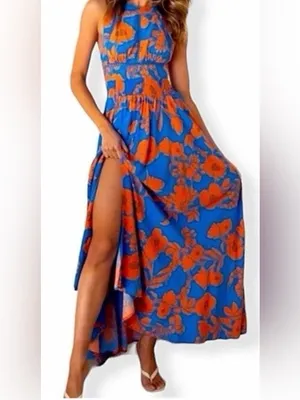 Abel the label Charlotte Floral Halter Tie-Back Maxi Dress thumbnail 5