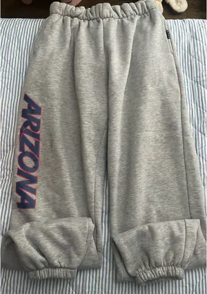 University of Arizona Hype and Vice sweatpants thumbnail 1