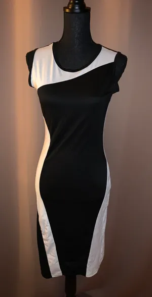 Finejo Two Tone Short Sleeve Bodycon Dress thumbnail 1