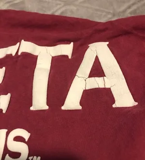 Spirit Delta Zeta Jersey thumbnail 4