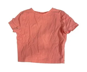 Wild Fable Salmon Pink 90s‎ Crop Top Short Sleeve Stretchy XS Casual thumbnail 1