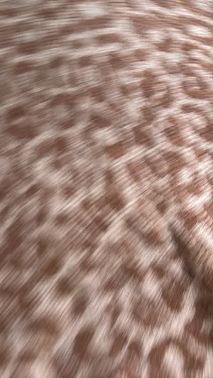 Show Me Your Mumu Sweater thumbnail 2