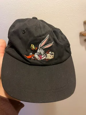 Looney Tunes Vintage 90s taz & Tweety Bird Snapback Hat Black , Clean thumbnail 1