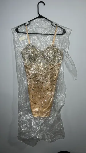 Mini Homecoming Dress Tan Size 2 thumbnail 8