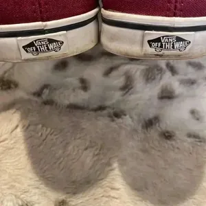 Van’s Sneakers thumbnail 7