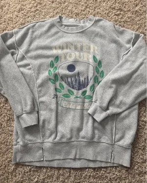 Aerie crewneck  thumbnail 1