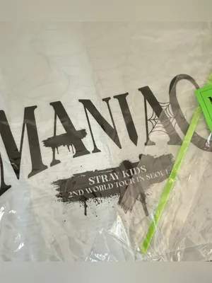 Stray Kids MANIAC 2nd World Tour Seoul REUSABLE TOTE BAG New Sealed K Pop thumbnail 4