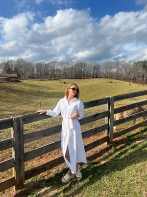 Express Button-Up Dress thumbnail 2