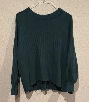 Aerie Dark Green Crew Neck Sweater thumbnail 1