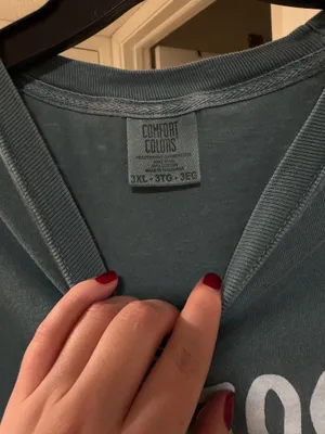Comfort Colors T-Shirt thumbnail 2