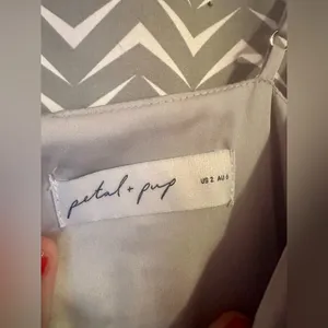 Petal and Pup | Naira Silver Pleated Midi Dress, size US2 thumbnail 6
