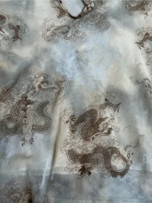 Vintage Semi Sheer Mesh Overlay Y2K Dragon Print Top Fairy Grunge Cyber Girl thumbnail 3