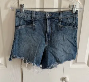 Favorite Daughter The Jordie Short Light Wash Size 27 thumbnail 1