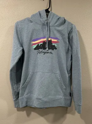 Patagonia Blue Hoodie thumbnail 1